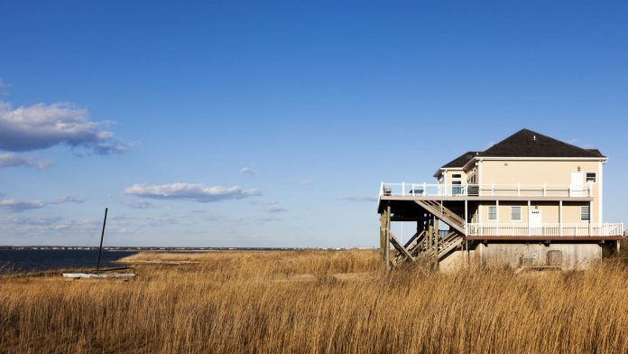 hamptons